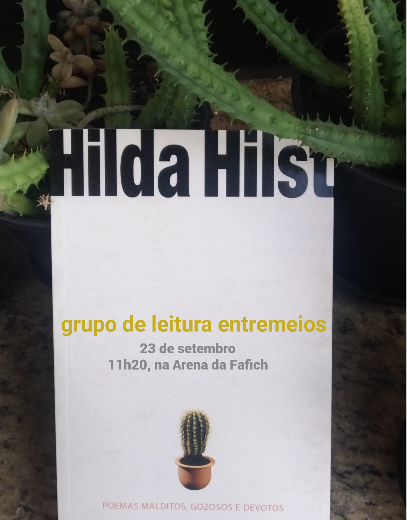 Entremeios Setembro 2019